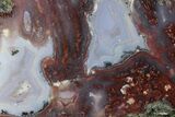 Polished Banded Agate Nodule Section - Morocco #187079-1